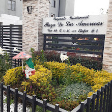 Parque Residencial Plaza de las Americas Etapa 1