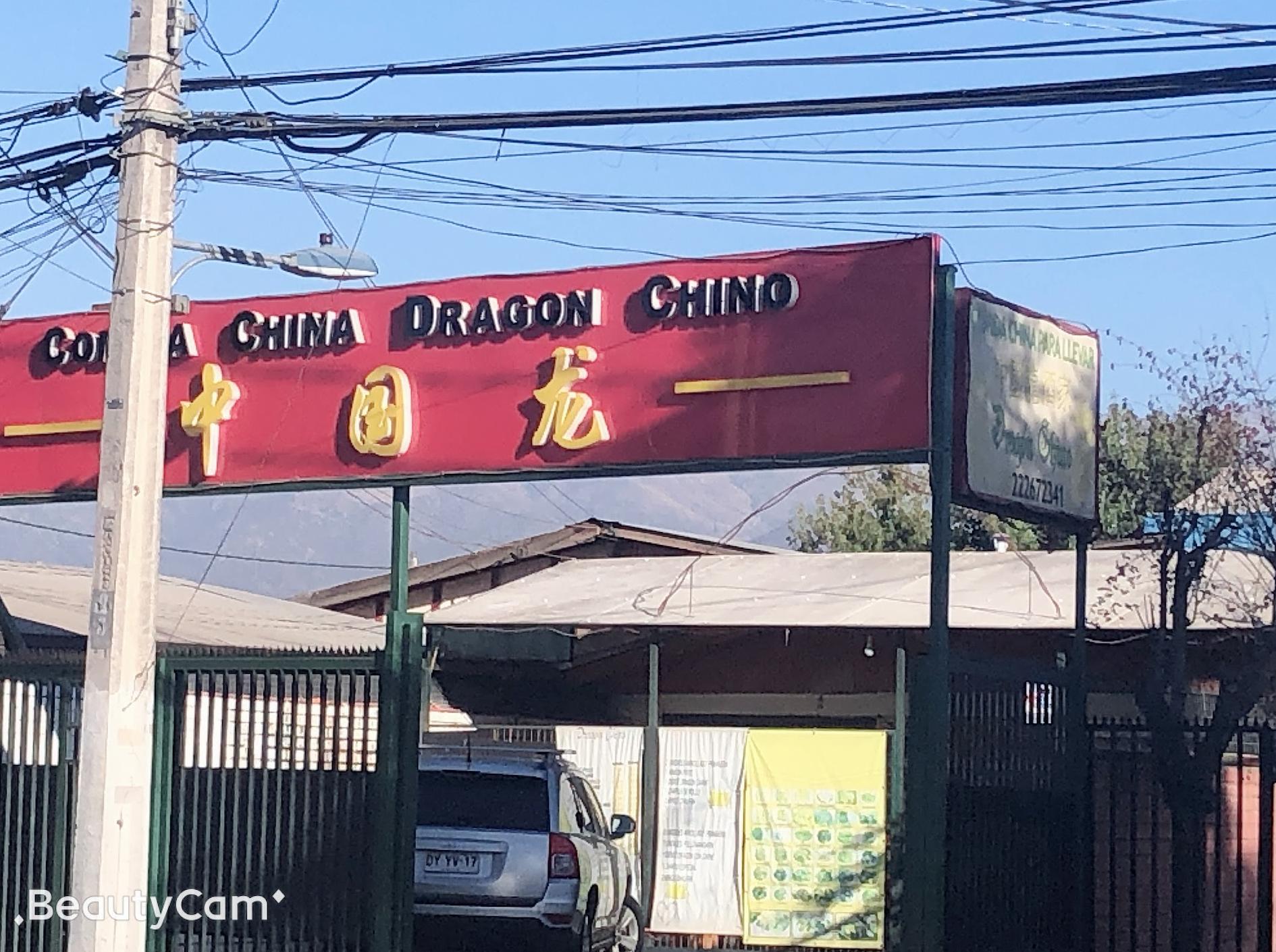 Çin Yemeği Çin Ejderhası