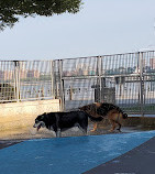 Leroy Street Dog Park