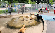 Leroy Street Dog Park