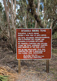 Myakka River State Park - Fox's Low Road Trail Head