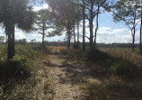 Myakka River State Park - Fox's Low Road Trail Head