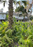 Marie Selby Botanical Gardens Historic Spanish Point campus