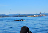 Fisherman's Wharf Park