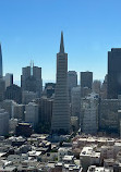 Coit Tower