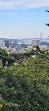 Coit Tower