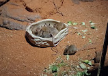 Taronga Zoo Sydney