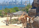 Taronga Zoo Sydney