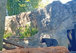 Taronga Zoo Sydney