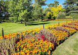 Giardini botanici reali Victoria - Giardini di Melbourne