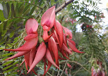 Jardins botaniques royaux de Melbourne