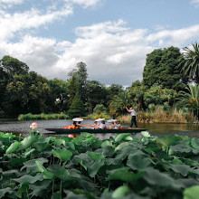 Jardins botaniques royaux de Melbourne