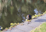 Jardins botaniques royaux de Melbourne