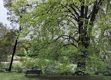 Giardini botanici reali Victoria - Giardini di Melbourne