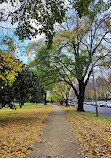 Giardini botanici reali Victoria - Giardini di Melbourne