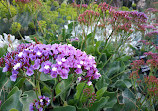 Jardins botaniques royaux de Melbourne