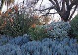 Jardins botaniques royaux de Melbourne