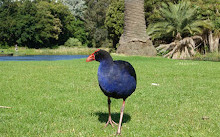 Giardini botanici reali Victoria - Giardini di Melbourne