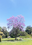 Giardini botanici reali Victoria - Giardini di Melbourne