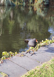 Jardins botaniques royaux de Melbourne