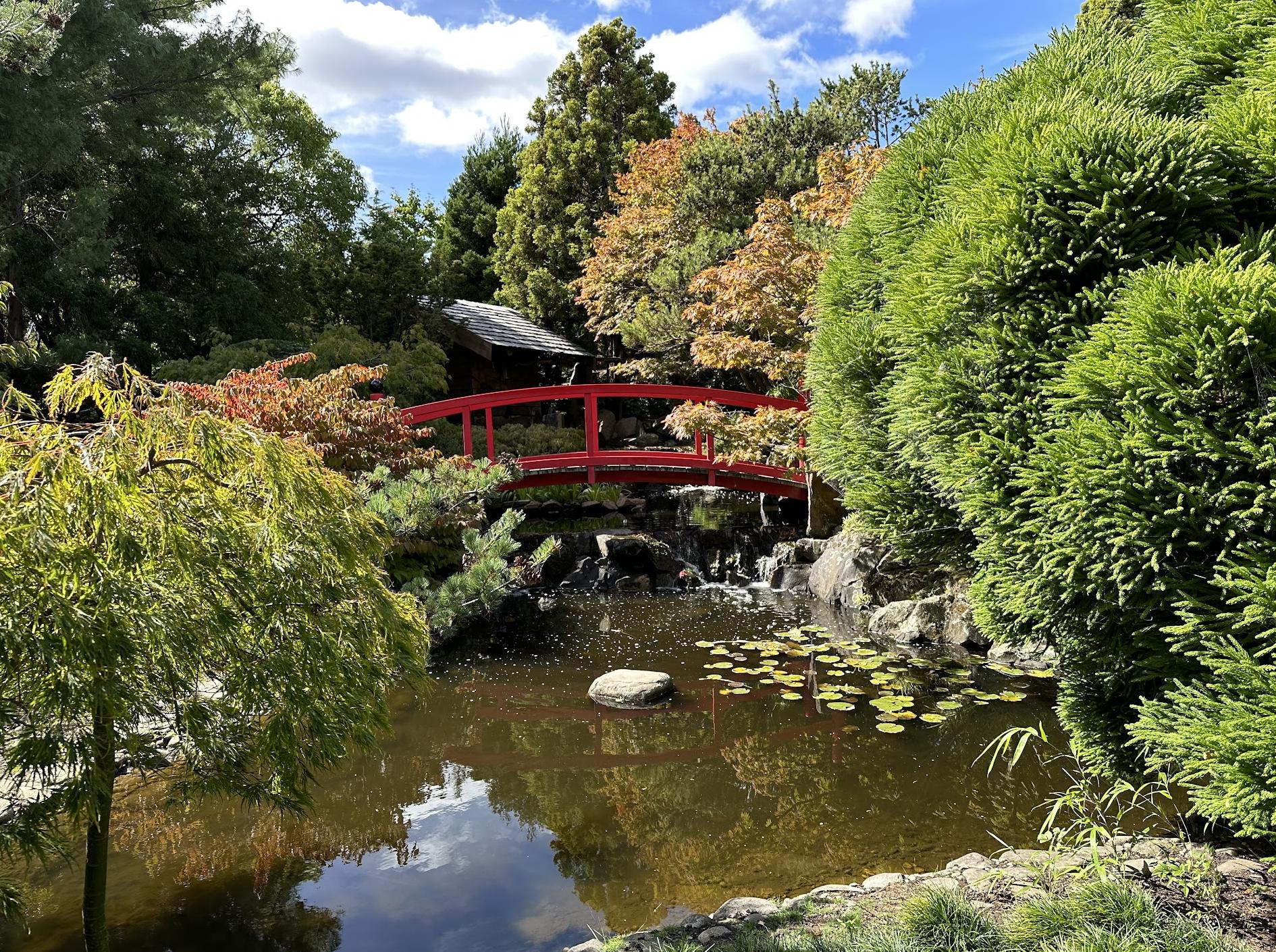 Royal Tasmanian Botanical Gardens