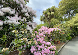 Royal Tasmanian Botanical Gardens