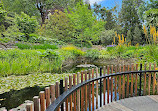 Royal Tasmanian Botanical Gardens