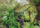 Royal Tasmanian Botanical Gardens