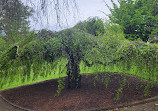 Royal Tasmanian Botanical Gardens