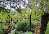 Royal Tasmanian Botanical Gardens