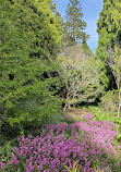 Royal Tasmanian Botanical Gardens