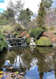 Royal Tasmanian Botanical Gardens