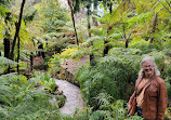 Royal Tasmanian Botanical Gardens