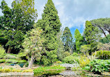 Royal Tasmanian Botanical Gardens