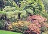 Royal Tasmanian Botanical Gardens