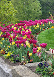 Royal Tasmanian Botanical Gardens