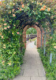 Royal Tasmanian Botanical Gardens