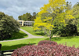 Royal Tasmanian Botanical Gardens