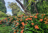 Royal Tasmanian Botanical Gardens