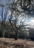 Royal Tasmanian Botanical Gardens