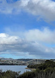 Royal Tasmanian Botanical Gardens