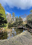 Royal Tasmanian Botanical Gardens