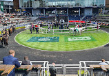 Royal Randwick Racecourse