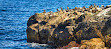 Louisbourg Lighthouse