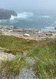 Louisbourg Deniz Feneri Yolu