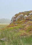 Louisbourg Deniz Feneri Yolu