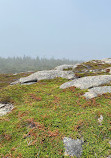 Louisbourg Deniz Feneri Yolu