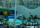 Sydney Olympic Park Aquatic Centre