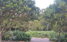 Bicentennial Park