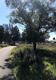 Blaxland Riverside Park Kiosk